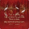 Korkov podtcek s cittem Te je chvle, kdy sprvn vyut as. Dnes je den, kdy zat dokonal den - Chinmoy Sri