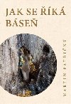 Jak se k bse - Martin Patin