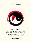 Tao pro Davida Bowieho - Mark Edwards