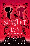 Ztracen dvoje - Sophie Cleverly 