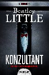 Konzultant - Bentley Little 