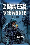 Zblesk v temnot - Daniel Gris 