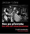 Sex po pevratu - Divok devadestky - Jaroslav Kuera,Ji Machalick,Tom Vocelka