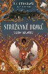 Strkyn drak: Msto tajemstv - Liz Flanaganov 