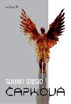 Tajemn soused - Monika J. apkov
