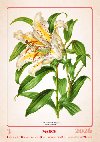 Herbarium 2026 - nstnn kalend - 