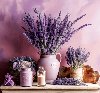 Provence vzanka 2026 - nstnn kalend - 