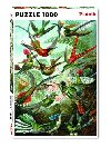 Puzzle Haeckel: Kolibris 1000 dlk - neuveden