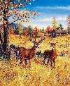 Diamantov malovn Jeleni na poli 30x40cm - 