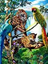 Diamantov malovn Papouci a leopardi 30x40cm - 