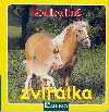 Konk a jin zvtka - 