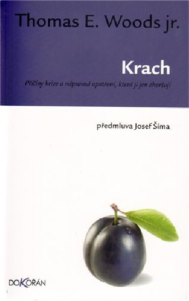 Krach - Wods Thomas E.