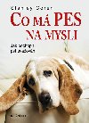 Co m pes na mysli - Stanley Coren