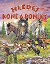 Hledej kon a ponky - 