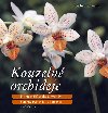 Kouzeln orchideje - Nejkrsnj druhy a hybridy, Sprvn pstovn a mnoen - Joachim Erfkamp