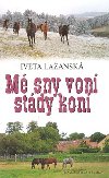 M sny von stdy kon - Iveta Laansk