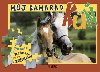 Mj kamard k - 