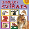 Domc zvata - 