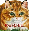 Kotko - 