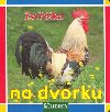 Zvtka na dvorku - 