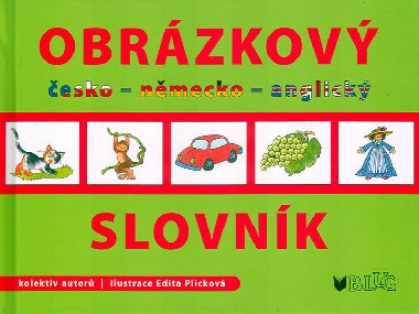 Obrzkov slovnk esko -  nmcko - anglick - Kolektiv autor