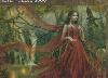 Puzzle Heye 3000 dlk Red by Chris Ortega - Heye