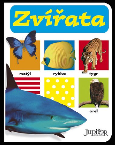 Zvata - 
