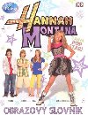 Hannah montana obrazov slovnk - Walt Disney