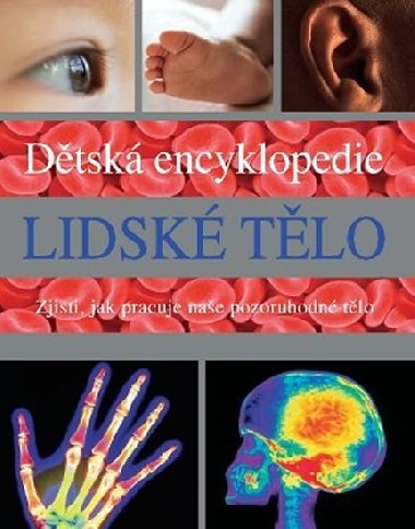 Lidsk tlo - 
