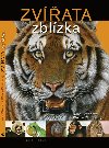 Zvata zblzka - Ivona Bezinov; Pemysl Vranovsk