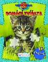 Domc zvata - 