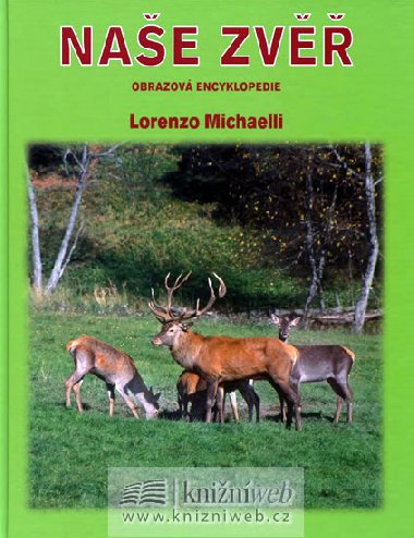 Nae zv - Lorenzo Michaelli