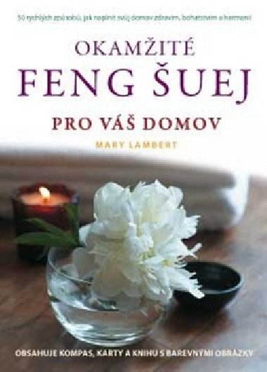 Okamit feng uej pro v domov - Mary Lambert