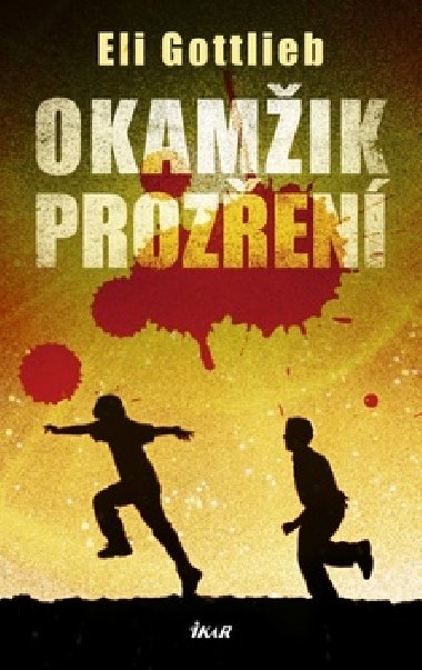 Okamik prozen - Eli Gottlieb