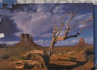 Puzzle wild horse 1000 kaon, stolov hora - 