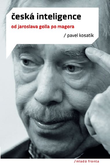 esk inteligence - Pavel Kosatk