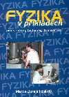Fyzika v pkladech - Martin Libra