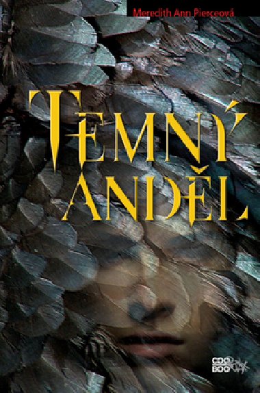 Temn andl - Meredith Ann Pierceov
