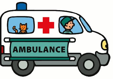 Ambulance - 