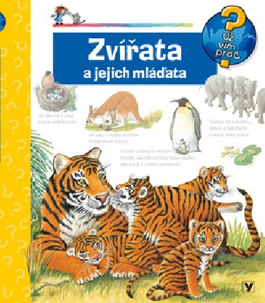 Zvata a jejich mlata - Doris Rbelov