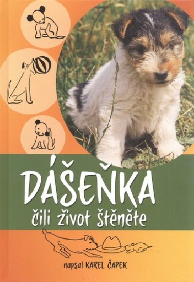 Deka ili ivot tnte - Karel apek