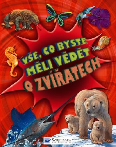 Ve, co byste mli vdt o zvatech - 
