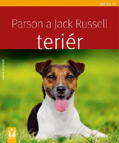 Parson a jack russell terir - Karin Wegner