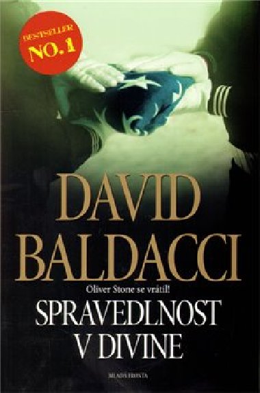 Spravedlnost v divine - David Baldacci
