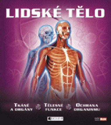 Lidsk tlo - 