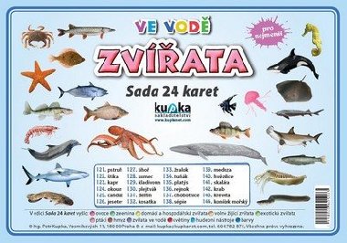Zvata ve vod - sada 24 karet - Kupka Petr a kolektiv