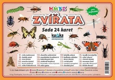 Zvata hmyz - sada 24 karet - Kupka Petr a kolektiv