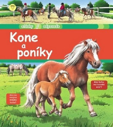 Kone a ponky - Anne-Sophie Baumann