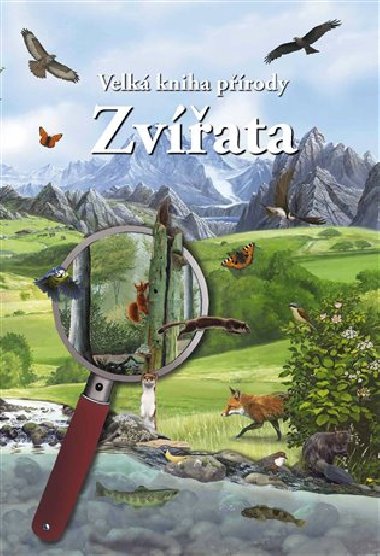 Zvata - 