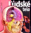 udsk telo - Linda Calabresi